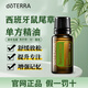 多特瑞西班牙鼠尾草快樂(lè)鼠尾草單方精油女常備專(zhuān)注15mldoterra旗艦正品 西班牙鼠尾草（提高專(zhuān)注） 15ML