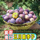 四川五月脆李子新鮮水果三華李蜂糖奈李青脫骨半邊茵紅鳳凰李D 35-45g 【大大果】5斤