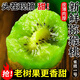 三萌果蔬綠心獼猴桃奇異果新鮮應(yīng)季水果南陽湘西米糧一號酸甜孕婦送禮盒 5斤 精品果【單果80-100g】凈4.5斤