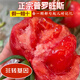 陜西涇陽普羅旺斯西紅柿沙瓤爆汁新鮮現(xiàn)摘現(xiàn)發(fā)可以生吃的水果番茄 帶箱【凈重4.5斤】 2500g 大果