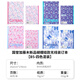 國譽(yù)（KOKUYO）日本Campus筆記本學(xué)生用無(wú)線(xiàn)膠裝本B5軟抄本迪士尼聯(lián)名限定方格橫線(xiàn)水果本子A5塔卡沙日記記事本 【B5加藤木/蝴蝶結】4本裝/無(wú)塑封