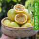 自然生長(zhǎng)黃金百香果 新鮮現(xiàn)摘 欽蜜9號(hào)黃金百香果40~60g中果1斤