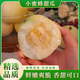 山東小蜜蜂甜瓜5斤蜜罐甜瓜星甜20應(yīng)當(dāng)季新鮮水果沂蒙山香瓜甜瓜 3斤