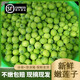 新鮮蓮蓬蓮子米現(xiàn)摘現(xiàn)發(fā)【順豐可選】嫩生吃鮮甜新鮮孕婦水果 4斤新鮮嫩蓮子【順豐快遞+冰袋】