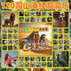科納達(dá)（KENADA）120洞國(guó)外山海經(jīng)抽獎(jiǎng)盒子潮玩盲盒周邊洞洞樂(lè)戳戳樂(lè)玩具公仔 120洞山海經(jīng)-5個(gè)大公仔+5包卡片