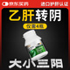 TTU進口護肝片急慢性肝炎抗病毒乙脂肪肝酒精肝大小三陽專用 4瓶周期裝【3瓶價格，到手4瓶】