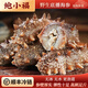 鮑小福正宗野生海參干貨鮮活大連刺參速食送長(zhǎng)輩深海開袋冷凍煲湯非即食 1斤 【只賣海參 不賣冰】 8-9頭【送500g鮑汁】