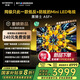 創(chuàng)維電視黑騎士A5F+ 75英寸低反防眩Mini LED電視機(jī)75吋 液晶智能平板4k 游戲國(guó)家補(bǔ)貼 A5F Mini