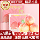 隆千采江蘇特產(chǎn)無(wú)錫水蜜桃【JD多地次日達】軟桃硬桃子中秋水果禮盒送禮 一級果6-8兩12個(gè)禮盒凈重7.2斤+ 御供貢品 | 爆甜多汁