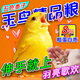 玉鳥專用糧鳥食芙蓉金絲雀上手下蛋開口增胖帶殼五色黍子營(yíng)養(yǎng)飼料 400ml 1瓶 【單瓶裝】