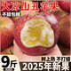 大涼山鹽源丑蘋(píng)果冰糖心蘋(píng)果新鮮水果當季整箱包郵四川紅富士萍果 2斤裝【迷你果60mm以下】