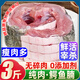柒島鱷魚肉鱷魚尾鱷魚腿肉鱷魚腩肉鱷掌肉帶皮鱷魚生鮮肉食材凈重 3斤鱷魚腩肉