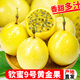 純香果欽蜜9號(hào)黃金百香果3斤新鮮水果當(dāng)季整箱百香果甜口孕婦水果包郵0 3斤中果單果60g+