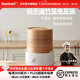 班貝特BAMBETEL德國(guó)品牌天然竹籠電蒸鍋多功能定時(shí)蒸煮鍋家用蒸鍋早餐機(jī) 小號(hào)竹籠電蒸鍋（2-3人） 3層 18cm