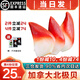海澤鮮 加拿大北極貝刺身1000g 壽司食材刺身即食 海鮮水產(chǎn)北極貝超大號 250g(凈重)  【北極貝XXL號】