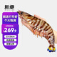 鮮馳 竹節蝦鮮活斑節蝦九節蝦基圍蝦大蝦花蝦海蝦蝦類(lèi)竹節蝦生鮮冷凍 特大號竹節蝦 2斤(凈重)  23-26cm