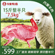 今友牧場(chǎng)內蒙古羊肉 15斤整半只原切羔羊肉 生鮮燉煮火鍋燒烤食材中秋送禮