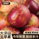 譽(yù)福園大涼山丑蘋果高山甜蘋果鹽源冰糖心脆甜水果生態(tài)種植孕婦可吃 野生丑蘋果凈重3斤 小果丨65-70mm好吃實(shí)惠