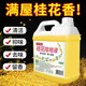 JCZS桂花香擦地板瓷磚清潔劑家用拖地花露水專用清潔洗地面持久留香液 2500g 【滿屋桂花香】桂花拖地液5斤-1