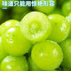 博多客陽(yáng)光玫瑰葡萄 順豐冷鏈  新鮮無(wú)籽香印青提 應季水果提子 3斤 大果（單顆12-18g）