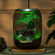 生命之樹(shù)苔蘚微景觀(guān)生態(tài)瓶創(chuàng  )意面造景盆景綠植盆栽節日生日禮物 鳴竹神居微景觀(guān)（煙灰款）+植物