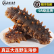 大連有機(jī)深海地帶野生開(kāi)袋 即食海參生鮮干貨過(guò)節(jié)送禮送長(zhǎng)輩 【9A級(jí)高刺遼參】1斤裝