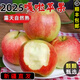 嘎啦蘋(píng)果新疆嘎啦小蘋(píng)果新鮮應(yīng)季嘎啦蘋(píng)果新疆直發(fā) 大果4.6斤 順豐