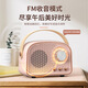 邦帛世藍牙音響手提復古小型迷你便攜2025年新款USB插卡u盤(pán)無(wú)線(xiàn)桌面音箱家用戶(hù)外小音箱 可愛(ài)粉手提藍牙音響