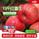 青怡青怡陜西洛川蘋果紅富士 新鮮水果禮盒 源頭產(chǎn)地包郵直發(fā)量販 11斤【量販裝】單果210g+