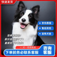 雙血統(tǒng)純種邊境牧羊犬七白三通賽級(jí)邊牧幼犬活體高智商寵物狗幼崽 血統(tǒng)級(jí) 公