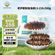老尹家深海底播鮮食海參【青島產(chǎn)地】滋補(bǔ)禮品4-5年13-15只500g源頭直發(fā)