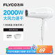飛科（FLYCO）電吹風(fēng)機(jī)家用發(fā)廊大功率2000W速干恒溫便攜可折疊白色FH6232