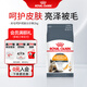 皇家貓糧美毛呵護(hù)成貓全價(jià)功能糧亮澤被毛H33 貓咪貓糧 【1歲以上】成貓美毛呵護(hù)2kg