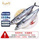 賣魚七郎 青島海捕大鲅魚整條凈重5斤（5-8條）馬鮫魚海鮮生鮮魚類
