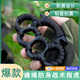 獵瑞戰(zhàn)術(shù)防身指虎指環(huán)戶外合法隨身武器自衛(wèi)防身防暴汽車逃生破窗器 【平頭黑色】纏繩加厚指虎