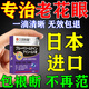 坂枝野尋老花眼專用眼藥水葉黃素中老年人視力模糊不清滴眼液眼睛干澀脹痛 一盒【老花眼視力模糊】