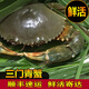 三門青蟹鮮活大紅膏蟹蝤蠓肉蟹紅鱘海鮮水產(chǎn)大螃蟹活蟹順豐直達 【兩斤】【公母肉蟹混搭/3-5只】