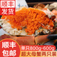 鮮拔頭籌原裝進口面包蟹生鮮1200-1600g超大熟凍螃蟹鮮活黃金蟹類 特大號 600g-800*2只