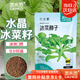 菜禾地冰菜種子種苗水晶冰草沙拉四季盆栽蔬菜種籽 冰菜種子約1500粒