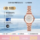 安普里奧·阿瑪尼（Emporio Armani）七夕情人節(jié)滿天星手表女玫瑰金鑲鉆石英輕奢女士腕表送禮物 玫瑰金滿天星AR11244 32mm