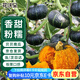 花沃里貝貝南瓜種子10粒/包 蔬菜種子盆栽陽臺種菜土菜籽陽臺/庭院種植