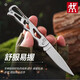 雙立人（ZWILLING）德國不銹鋼鏤空折疊刀戶(hù)外便攜刀具快遞開(kāi)箱刀迷你隨 鏤空全鋼水果刀