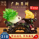銅雀天驕大白菜金蟾招財(cái)擺件新店公司辦公室開(kāi)業(yè)大吉賀禮高檔禮品喬遷禮物 翠玉色B款