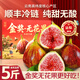 山姆大叔云南無(wú)花果鮮果【順豐-多地次日達(dá)】紅青皮爆甜水果禮盒中秋禮品 【清甜適口】5A級(jí) | 單果40g+ 精選果丨3斤裝【超值推薦】?jī)?.5