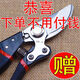 德國工藝進(jìn)口鋼枝剪剪樹(shù)剪子果樹(shù)剪修枝剪刀家用花木葡萄修剪樹(shù)枝 100%鋒利+硬度強【不是主圖款】 活動(dòng)中：德國進(jìn)口鋼刀頭【清倉】