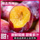 元珍鮮誠(chéng) 當(dāng)季西梅 新鮮水果整箱法蘭西脆甜西梅李子大果孕婦 團(tuán)購(gòu)送禮 5斤裝果王