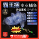 喆煒新型霸王捆爆炸無鉤絲魚網(wǎng)無魚鉤釣魚捕魚捉撲魚神器套裝漁具 霸王捆7目一個