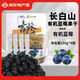 長(cháng)白山天池有機藍莓干小興安嶺藍莓果干大顆粒150g獨立小包裝東北特產(chǎn)零食 有機藍莓果干150g*4袋
