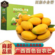 南步廣西百色小臺農(nóng) 田東現(xiàn)摘臺農(nóng)芒甜心小芒果禮盒孕婦新鮮水果送禮 9斤 精選大果【單果90g+】禮盒