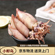 【京東冷鏈】籽烏滿籽海兔新鮮無沙海鮮燒烤撈汁撈飯食材海兔子 原籽-籽烏20%帶籽 500g(凈重） 100只裝